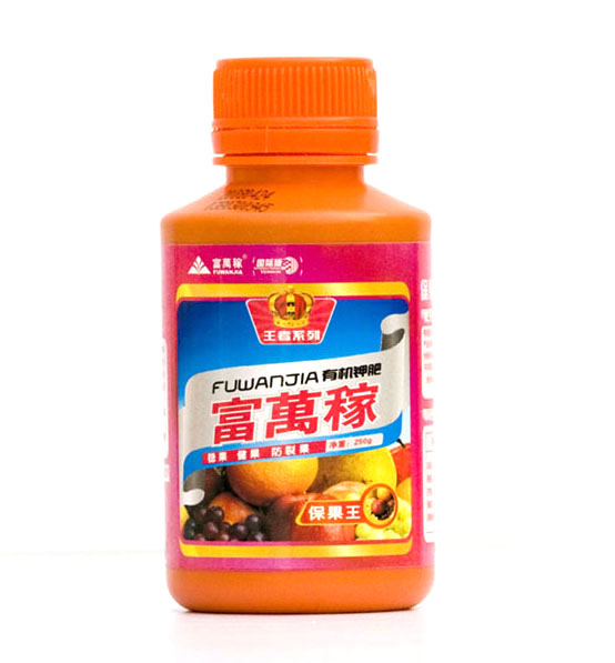 保果王