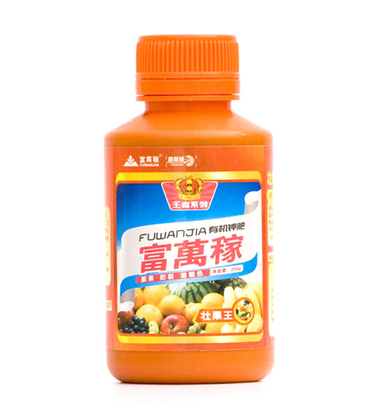 壮果王