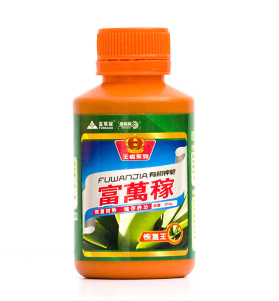 恢复王